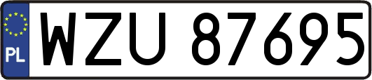 WZU87695