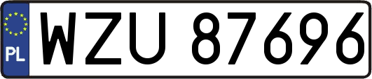 WZU87696