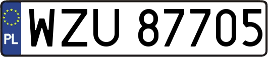 WZU87705