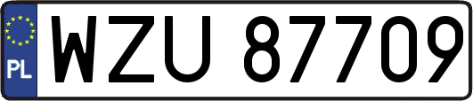 WZU87709