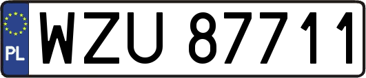 WZU87711