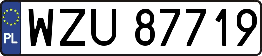 WZU87719