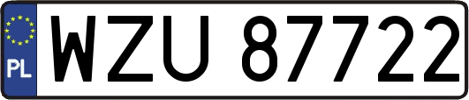 WZU87722