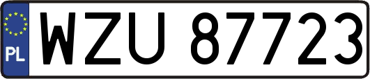 WZU87723
