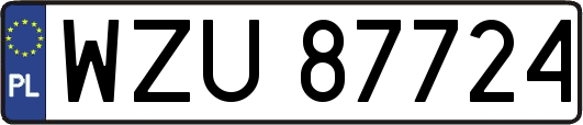 WZU87724