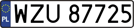 WZU87725