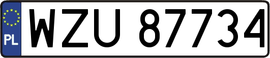 WZU87734