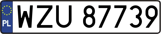 WZU87739