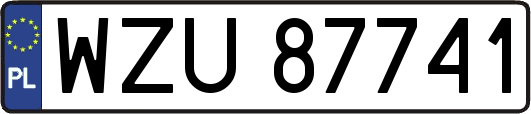 WZU87741