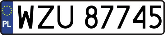 WZU87745