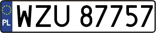 WZU87757