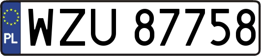 WZU87758