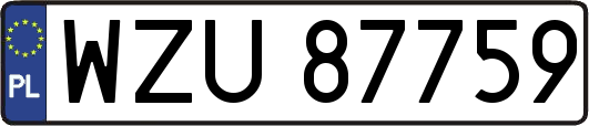 WZU87759