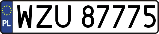 WZU87775