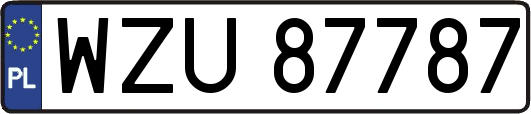 WZU87787