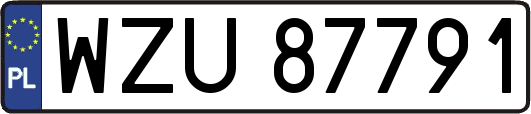 WZU87791