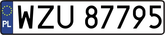 WZU87795