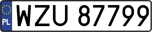 WZU87799