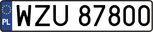 WZU87800