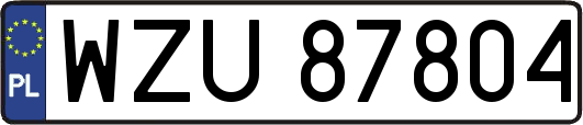 WZU87804