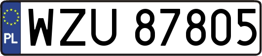 WZU87805
