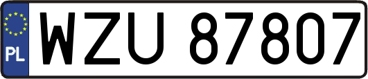WZU87807