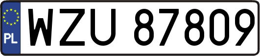 WZU87809