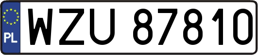 WZU87810