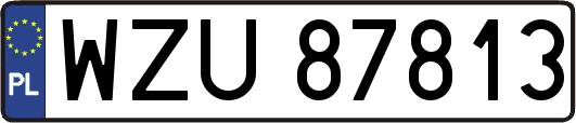 WZU87813