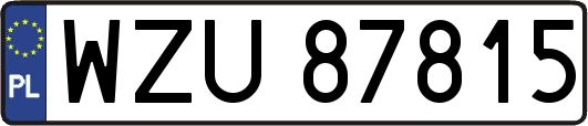 WZU87815