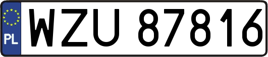WZU87816