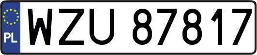 WZU87817