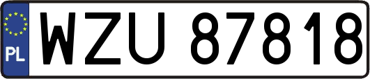 WZU87818