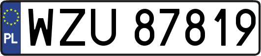 WZU87819