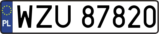 WZU87820