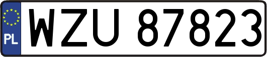 WZU87823