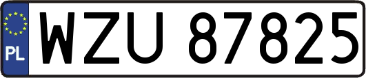 WZU87825
