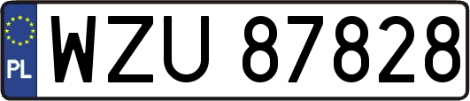 WZU87828