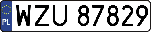 WZU87829