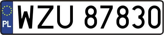 WZU87830