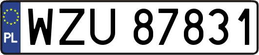 WZU87831
