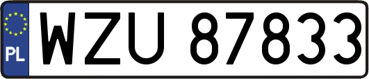 WZU87833
