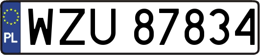 WZU87834