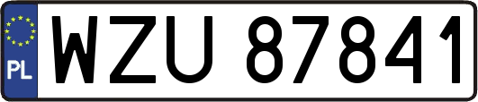 WZU87841