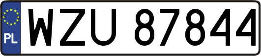 WZU87844