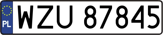 WZU87845