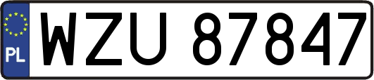 WZU87847