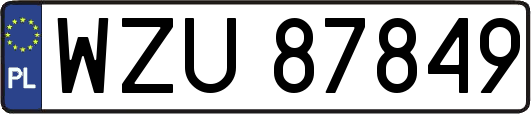 WZU87849