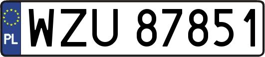 WZU87851