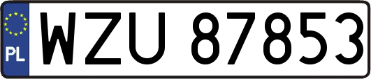 WZU87853